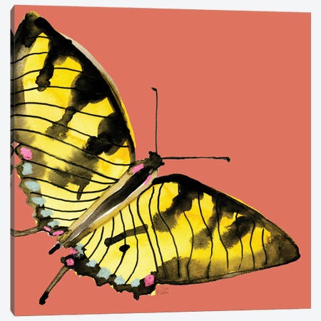 Tiger Swallow Canvas Print #SFR235} by Sara Franklin Canvas Art
