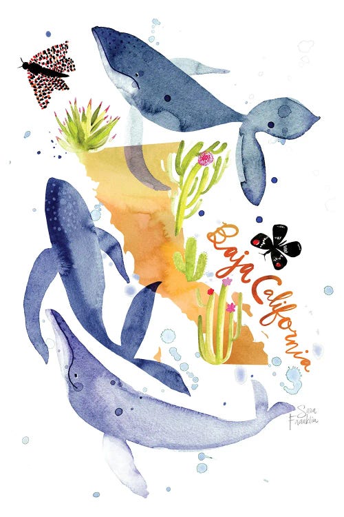Baja California Map by Sara Franklin wall art