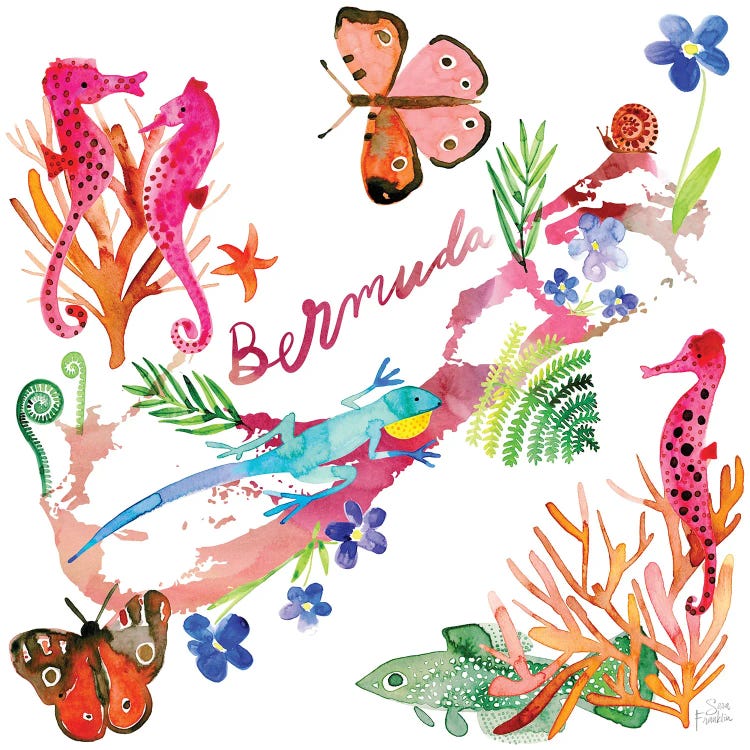 Bermuda Map by Sara Franklin wall art