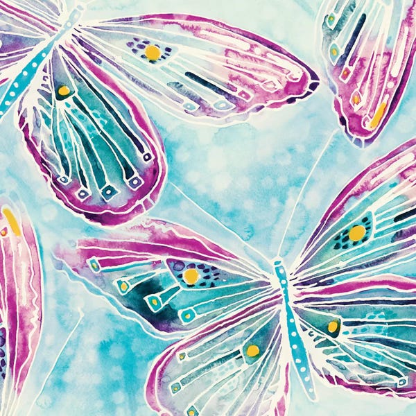 Sara Franklin: Butterfly Wonder by Sara Franklin