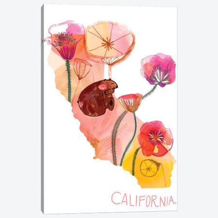 California Poppies Canvas Print #SFR32} by Sara Franklin Canvas Artwork