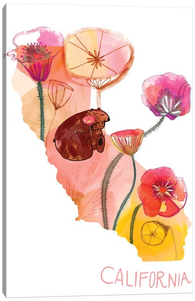 California Poppies Canvas Art Print - Sara Franklin