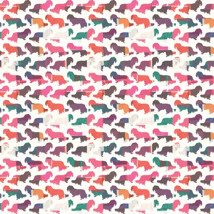 Coral Dachshunds