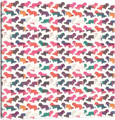 Coral Dachshunds Canvas Art Print - Animal Patterns