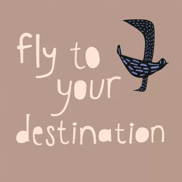 Sara Franklin: Fly To Your Destination by Sara Franklin
