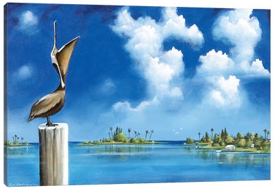 Good Morning, Florida Canvas Art Print - Susi Galloway