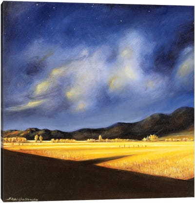 Golden Fields Canvas Art Print - Susi Galloway