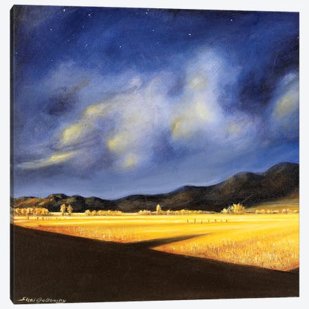 Golden Fields Canvas Print #SGA7} by Susi Galloway Canvas Art Print