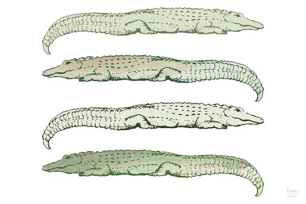Alligators & Crocodiles: Lazy Alligators by Statement Goods