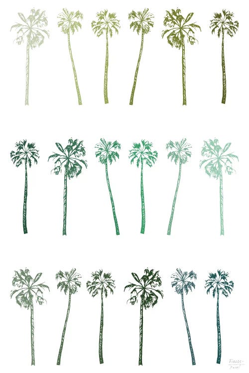 Palm Trees