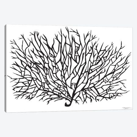 Coral Sea Fan Canvas Print #SGD12} by Statement Goods Art Print
