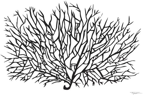 Black & White Florals: Coral Sea Fan by Statement Goods