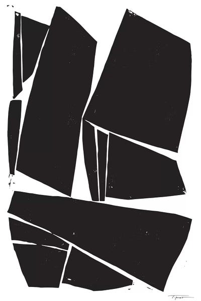 Black & White Patterns: Large Modern Contemporary Forms by Statement Goods