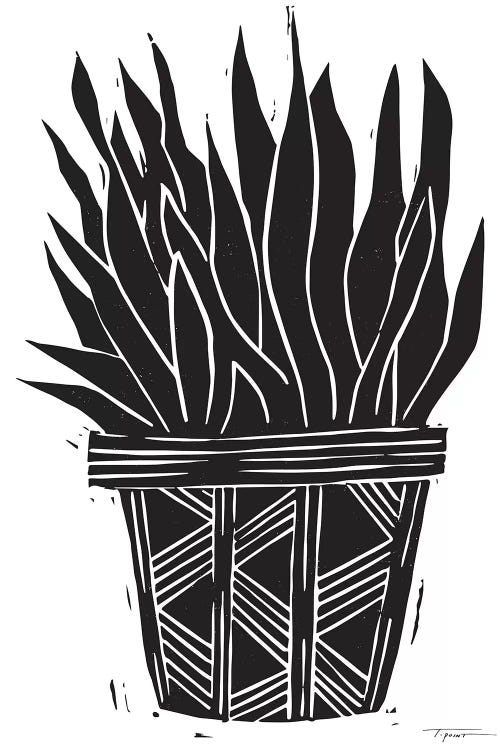 Succulent In A Pot With Patterns by Statement Goods wall art