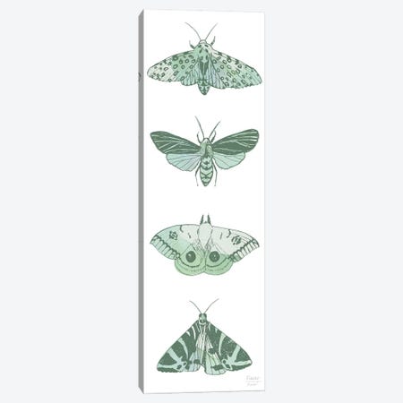 Four Moths Canvas Print #SGD94} by Statement Goods Canvas Art