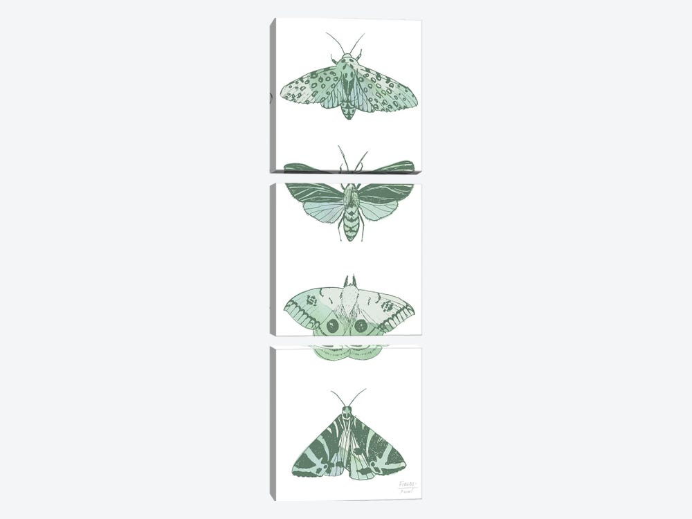 Four Moths by Statement Goods 3-piece Canvas Wall Art