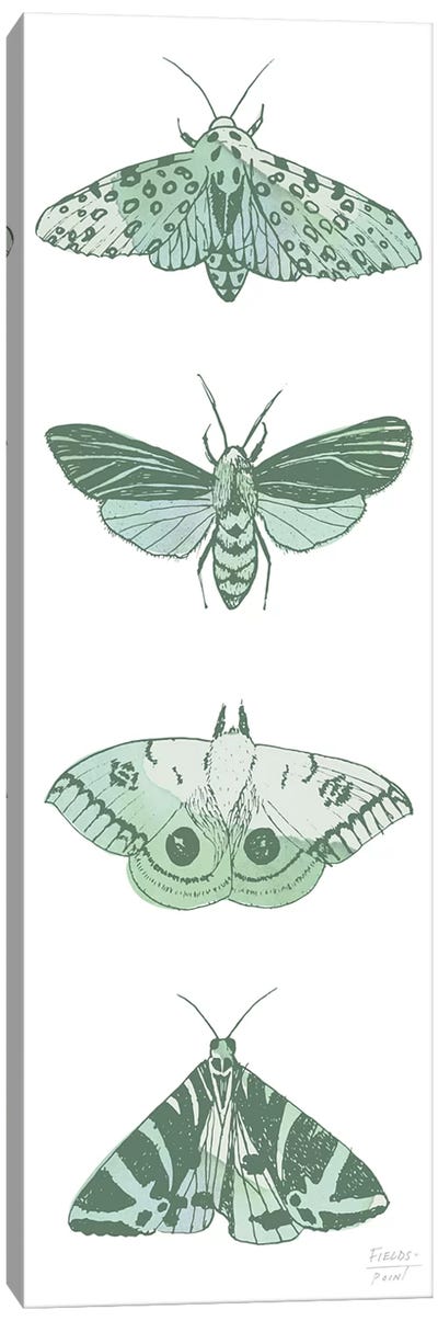 Four Moths Canvas Art Print - Statement Goods