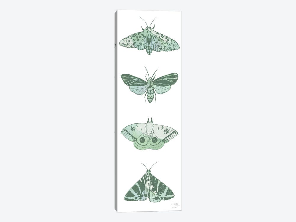 Four Moths by Statement Goods 1-piece Canvas Artwork