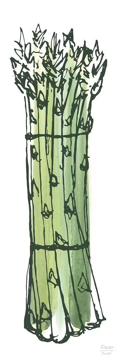 Asparagus Bundle by Statement Goods canvas print