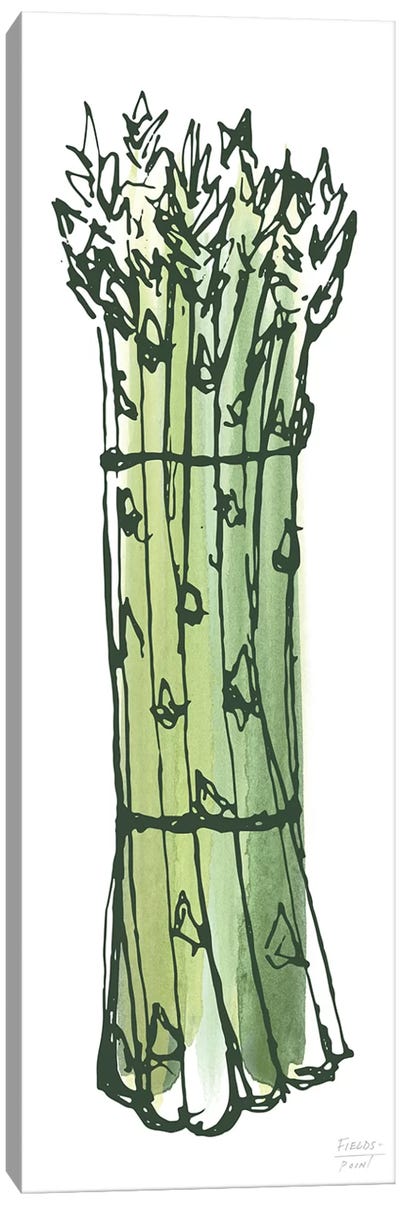 Asparagus Bundle Canvas Art Print - Minimalist Kitchen Art