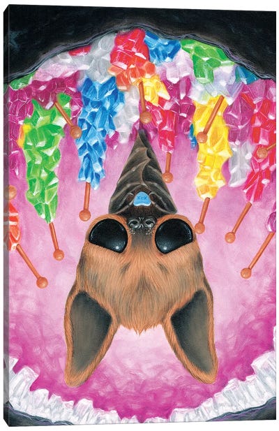 Sweet Hangout Canvas Art Print - Bat Art