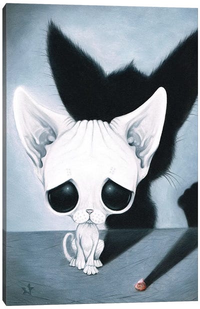 Chasing Shadows Canvas Art Print - Hairless Cat Art