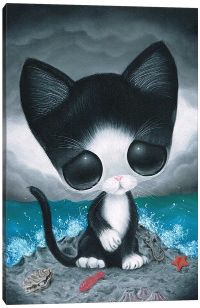 Curiousity Canvas Art Print - Tuxedo Cat Art