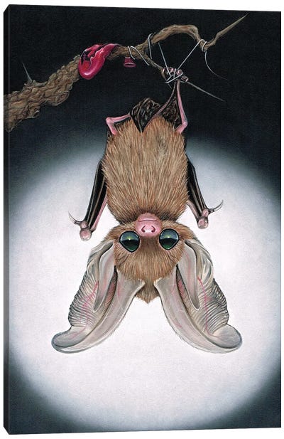 Evaki Canvas Art Print - Bat Art