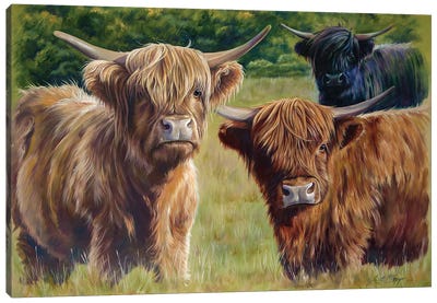 Brambles, Bracken And Fern Canvas Art Print - Highland Cow Art