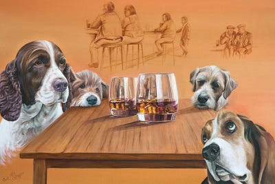 Irish Setters
