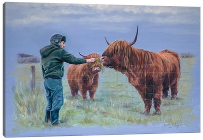 Feeding The Coos Canvas Art Print - Highland Cow Art