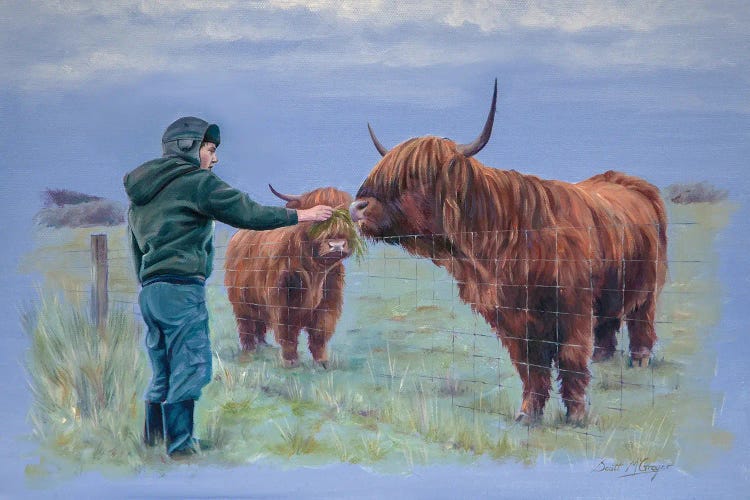 Feeding The Coos