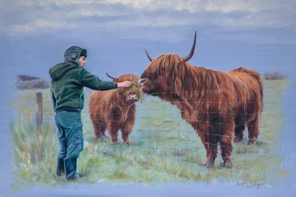 Scott McGregor: Feeding The Coos by Scott McGregor