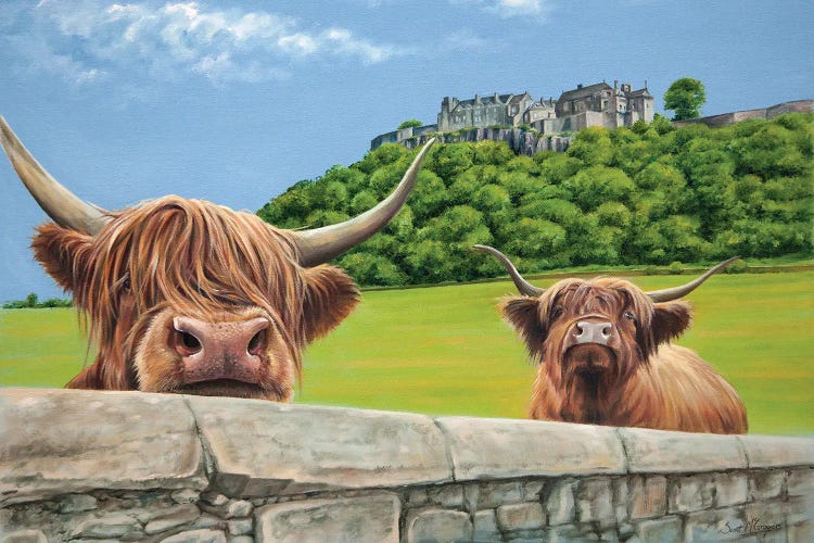 Heilan Coos At Stirling Castle by Scott McGregor wall art