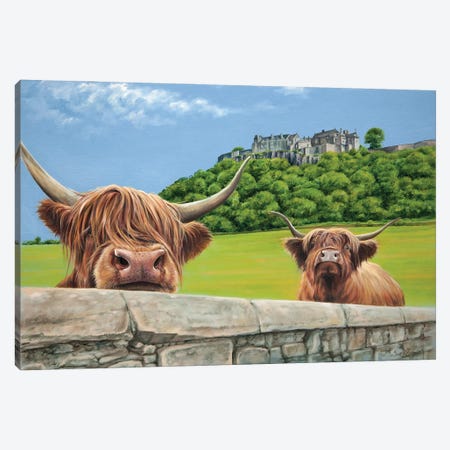 Heilan Coos At Stirling Castle Canvas Print #SGG23} by Scott McGregor Canvas Art Print