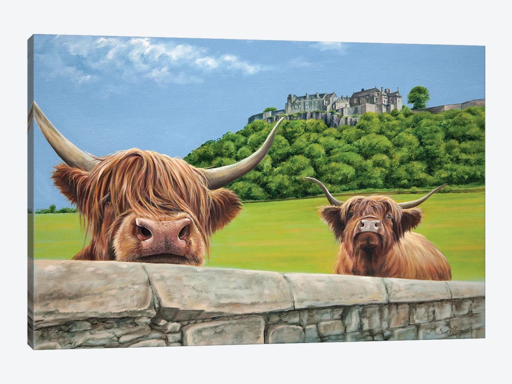 Heilan Coos At Stirling Castle by Scott McGregor 1-piece Canvas Wall Art