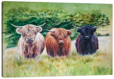 Highland Toffee Canvas Art Print - Highland Cow Art