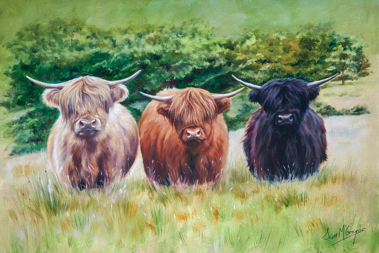 Highland Toffee by Scott McGregor wall art