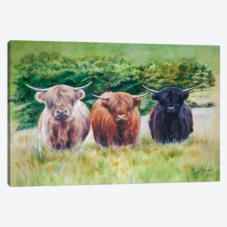 Highland Toffee Canvas Print #SGG24} by Scott McGregor Canvas Art