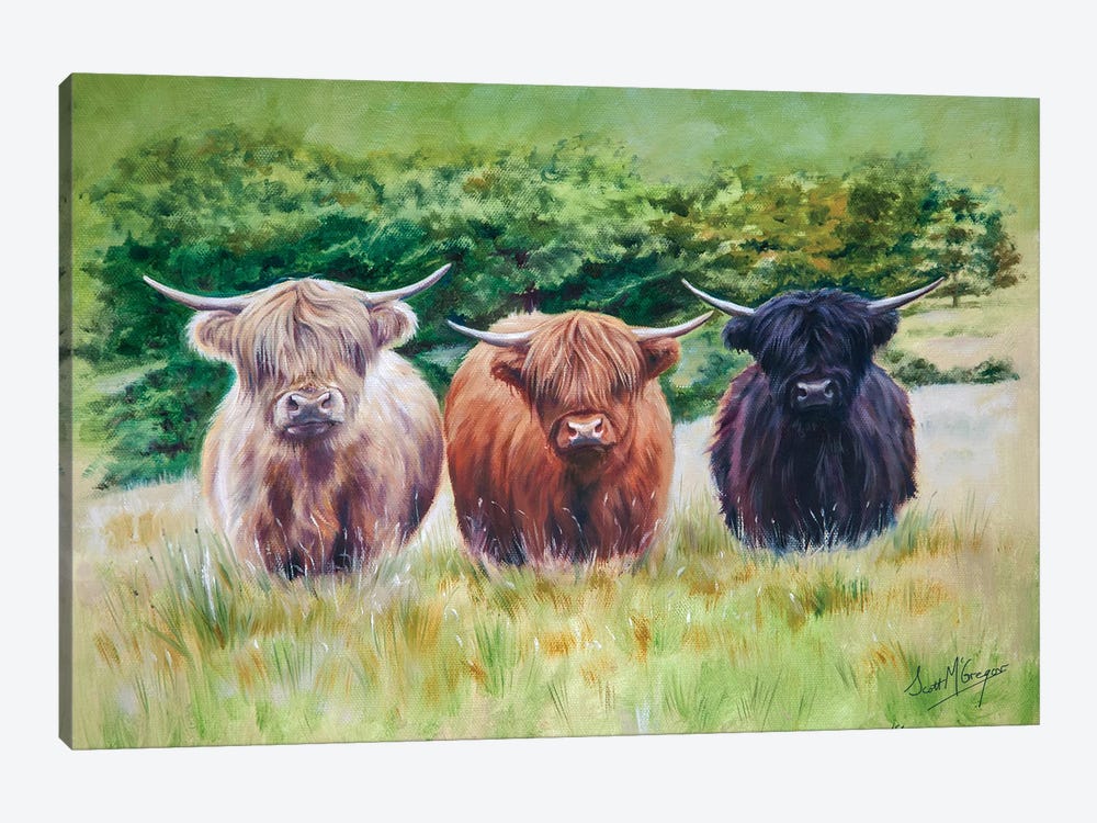 Highland Toffee by Scott McGregor 1-piece Canvas Print