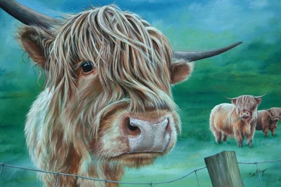 Is The Grass Greener by Scott McGregor canvas print