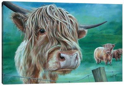Is The Grass Greener Canvas Art Print - Highland Cow Art