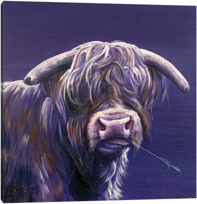 Angus Canvas Art Print - Highland Cow Art