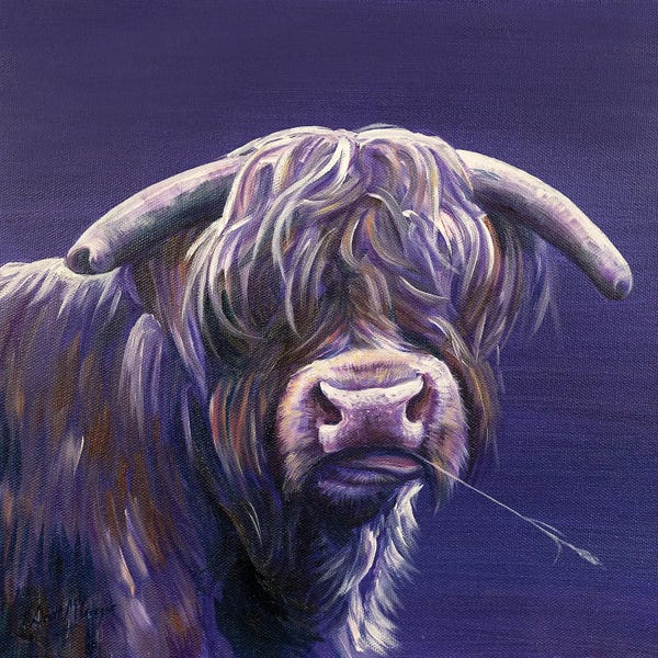 Scott McGregor: Angus by Scott McGregor