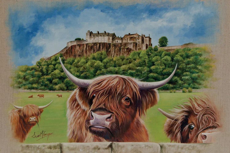 Stirling Castle by Scott McGregor wall art