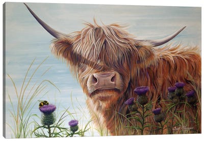 Summertime Canvas Art Print - Highland Cow Art