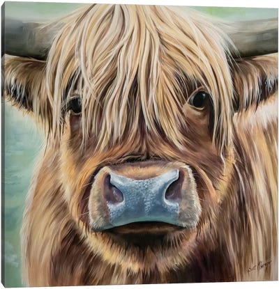 Thistle Canvas Art Print - Highland Cow Art