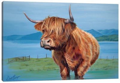 Big Bob Canvas Art Print - Highland Cow Art