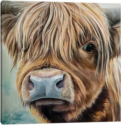 Clover Canvas Art Print - Highland Cow Art