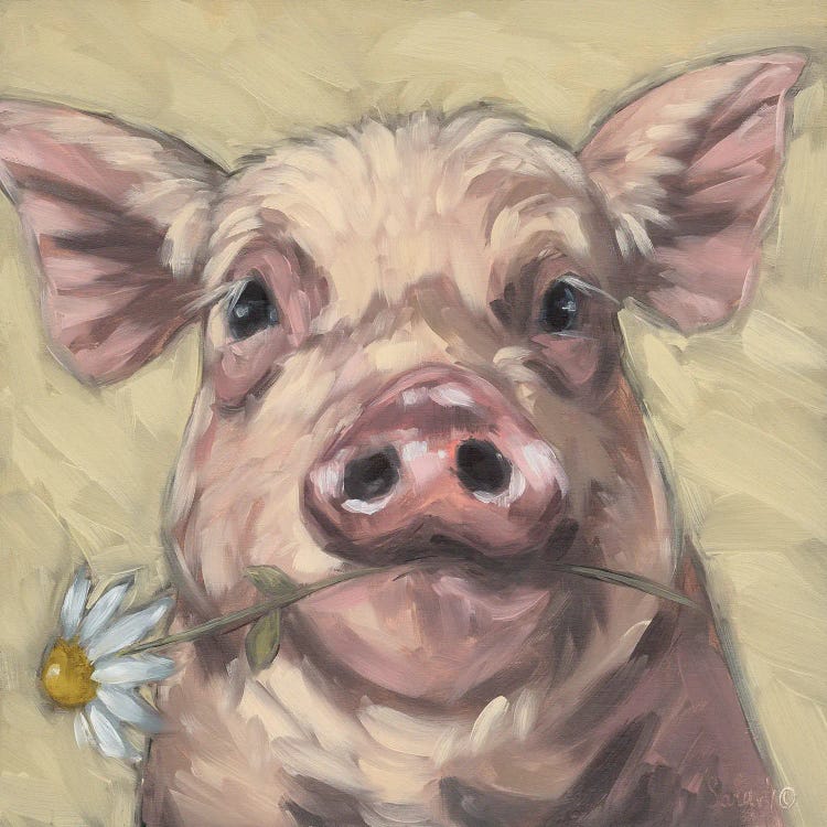 Blossom Babe I by Sara G. Designs wall art